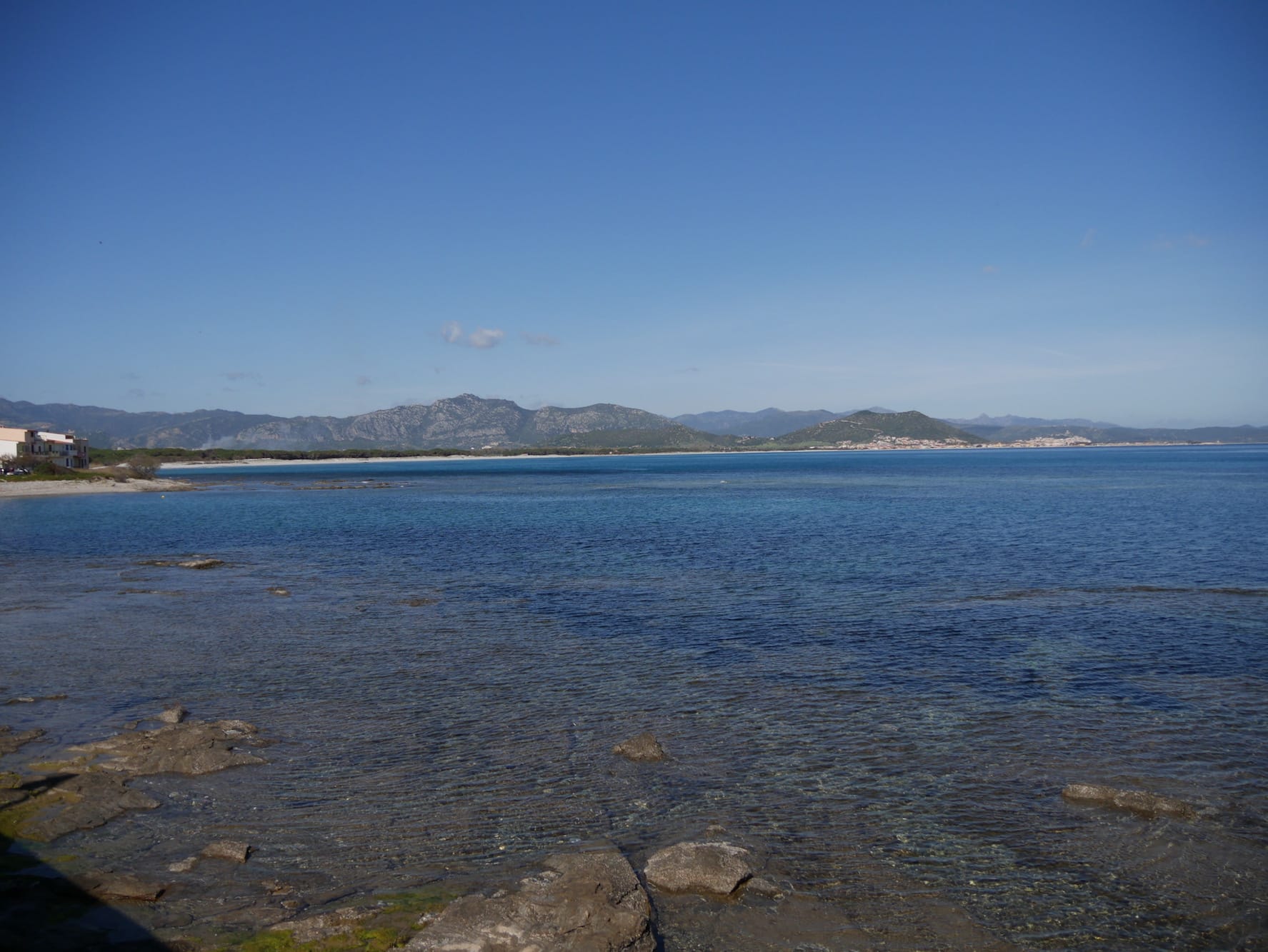 P1010229